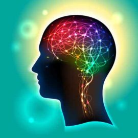 Mental Health Counselor