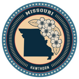 Missouri LPC Requirements