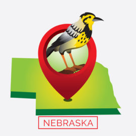 Nebraska LPC Requirements